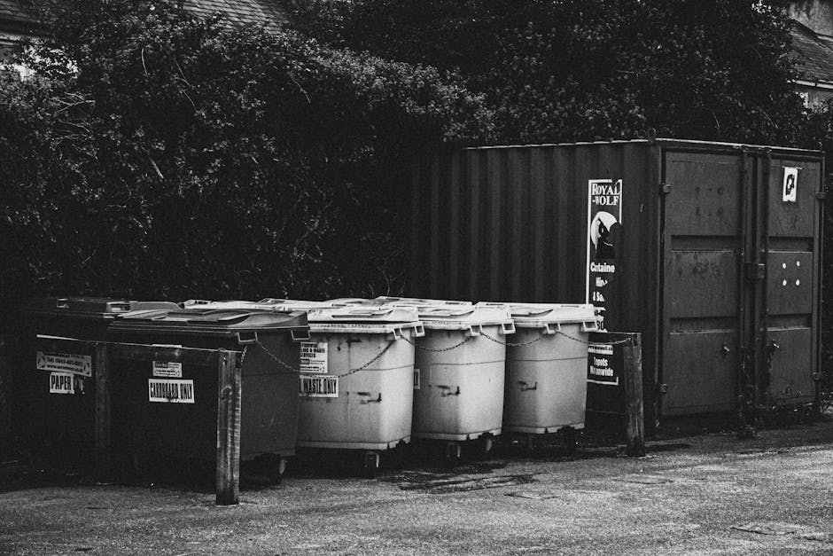 A row of six large, plastic wheeled rubbish bins with closed lids positioned on a paved surface in front of a dark, corrugated metal storage container. The bins are labeled with black and white sticke